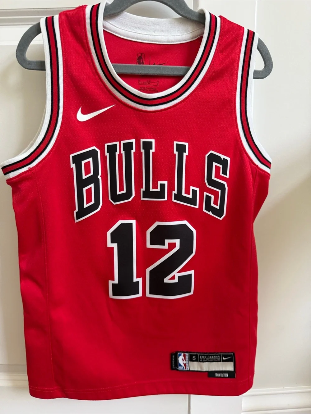 Nike Kids Red Chicago Bulls #12 Dosunmu Basketball Jersey Icon